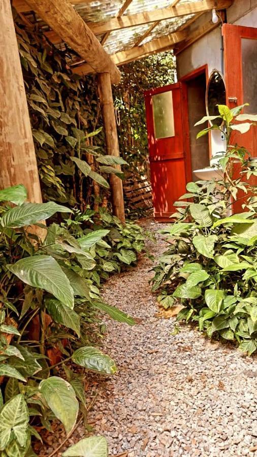 Villa Morena Benessere Florianópolis Exteriér fotografie
